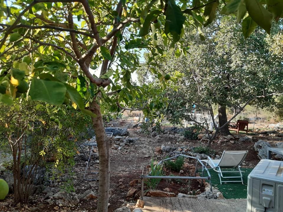 בקתת עץ בחורש במנות - דום גיאודזי - Wooden Cabin In Manot المظهر الخارجي الصورة
