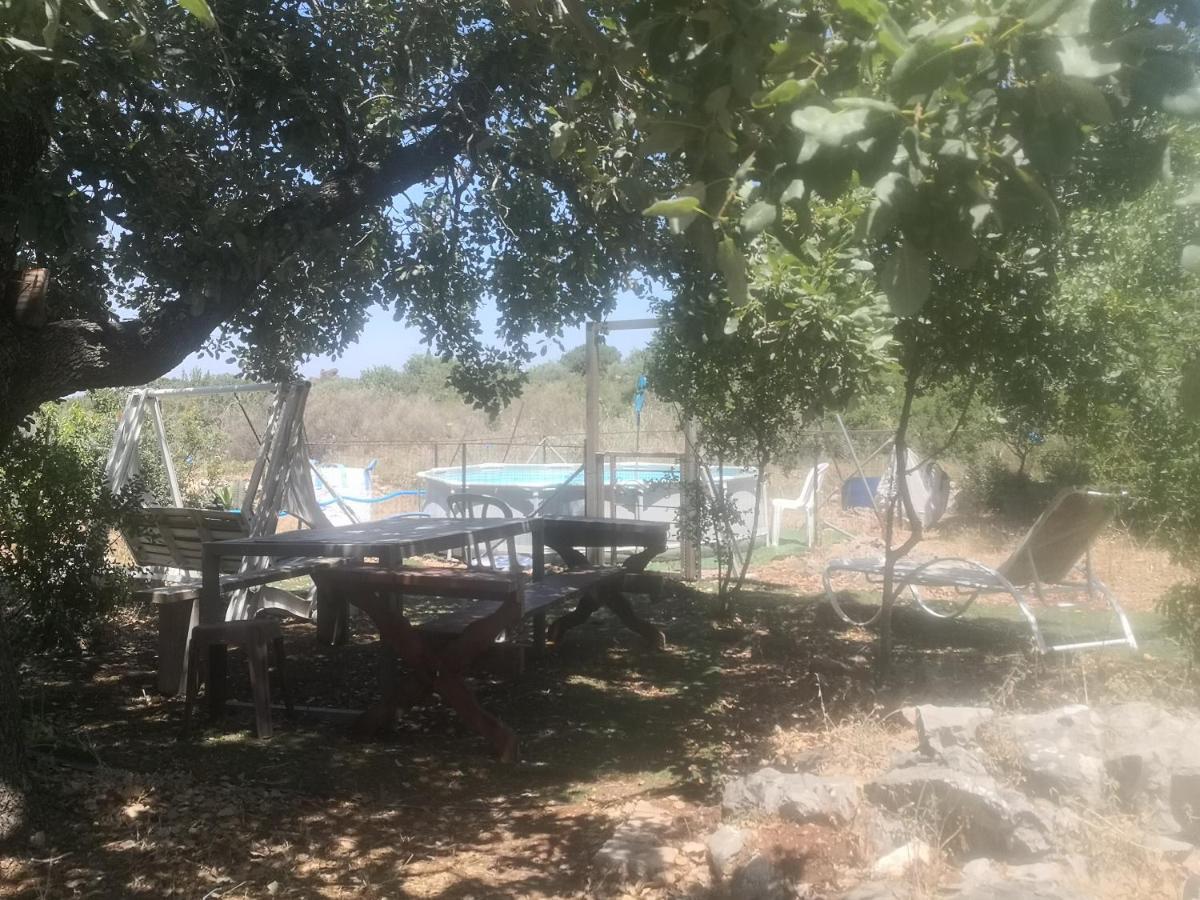 בקתת עץ בחורש במנות - דום גיאודזי - Wooden Cabin In Manot المظهر الخارجي الصورة