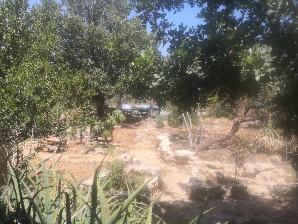 בקתת עץ בחורש במנות - דום גיאודזי - Wooden Cabin In Manot المظهر الخارجي الصورة
